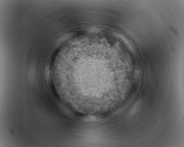 X0000116010381200912312138