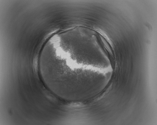 X0000116010386200912312138
