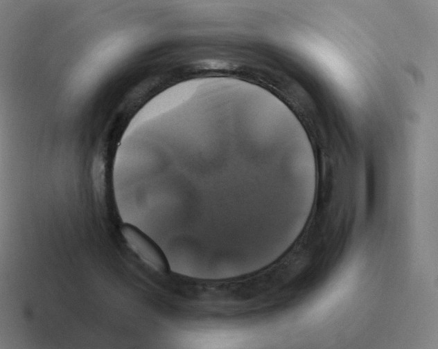 X0000116010387200912312138