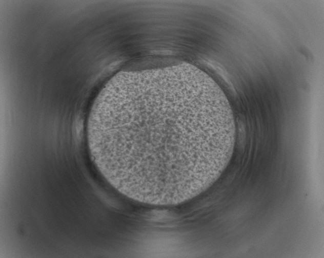 X0000116010406200912312137
