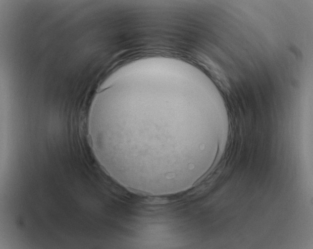 X0000116010421200912312137