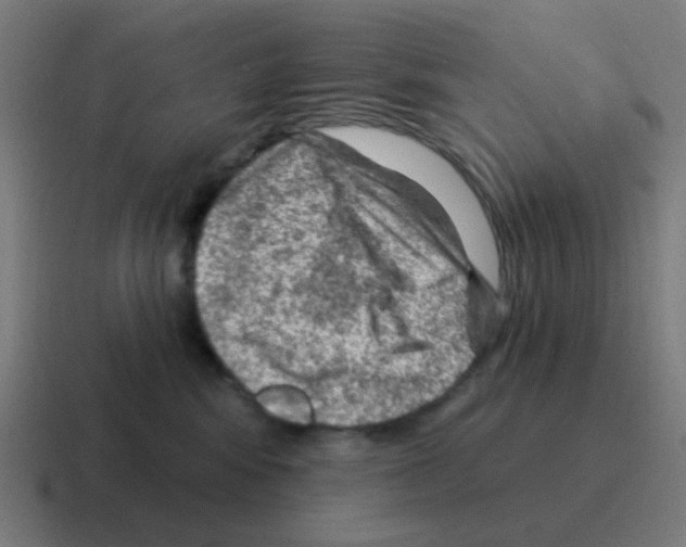 X0000116010424200912312137