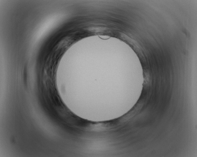 X0000116010430200912312137