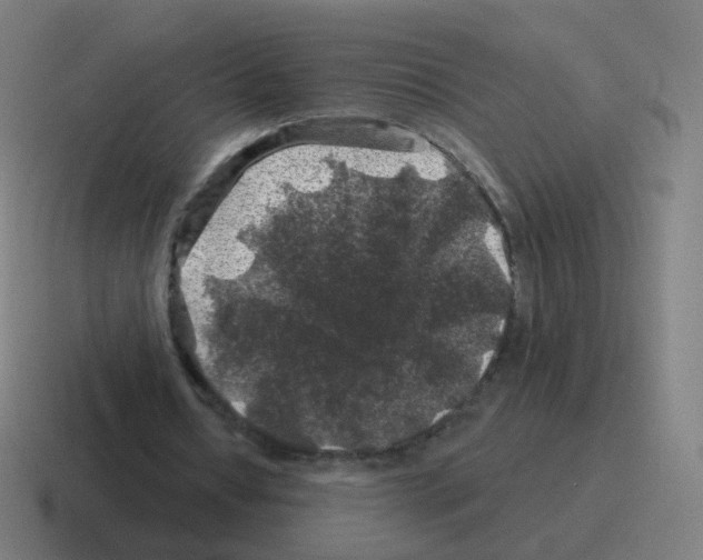 X0000116010434200912312136