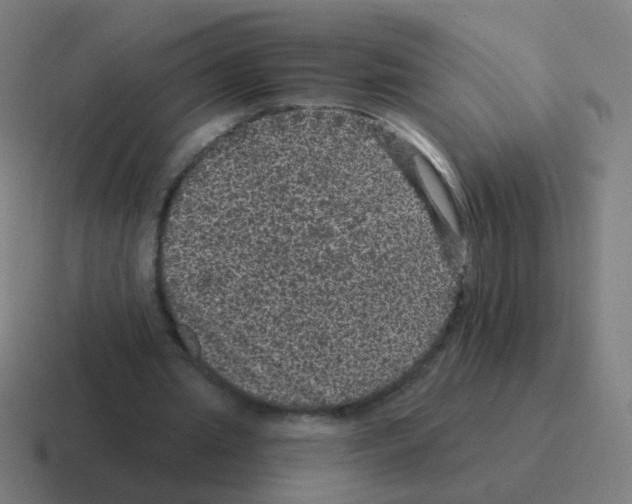 X0000116010437200912312136
