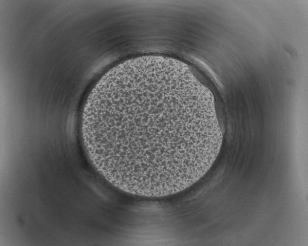 X0000116010439200912312136