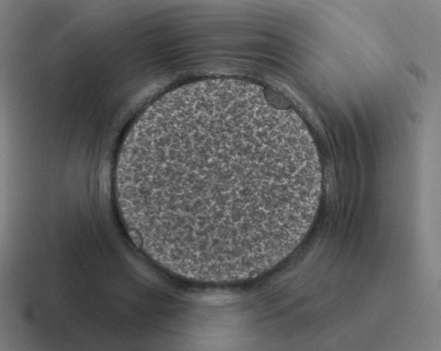 X0000116010445200912312136