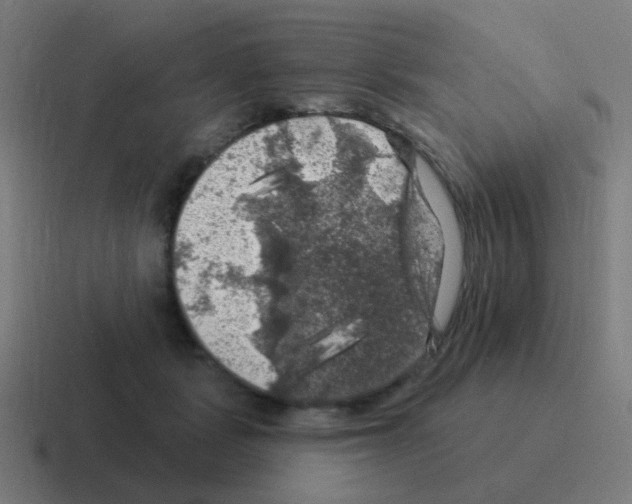X0000116010461200912312137