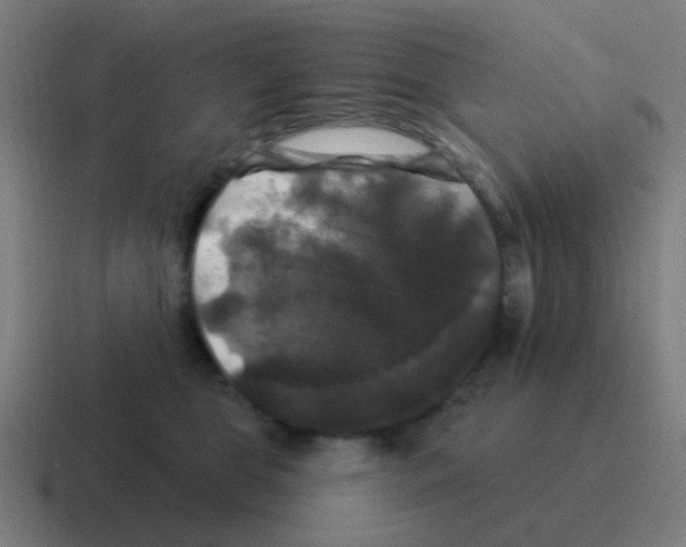 X0000116010469200912312137