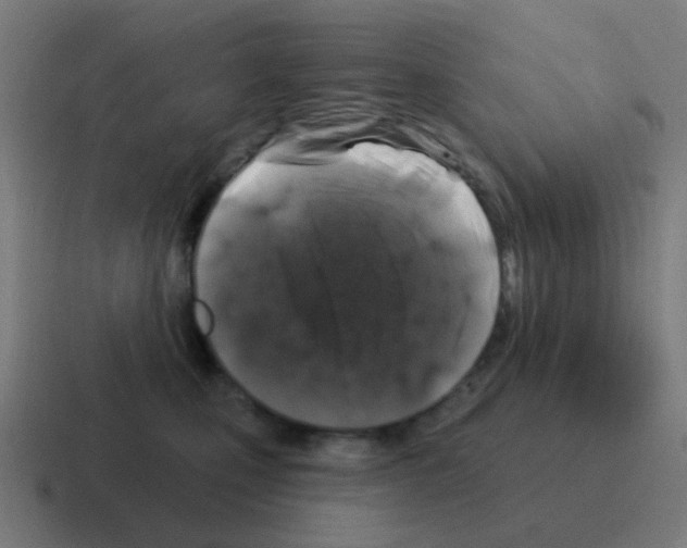 X0000116010471200912312137