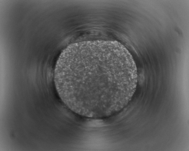 X0000116010476200912312137