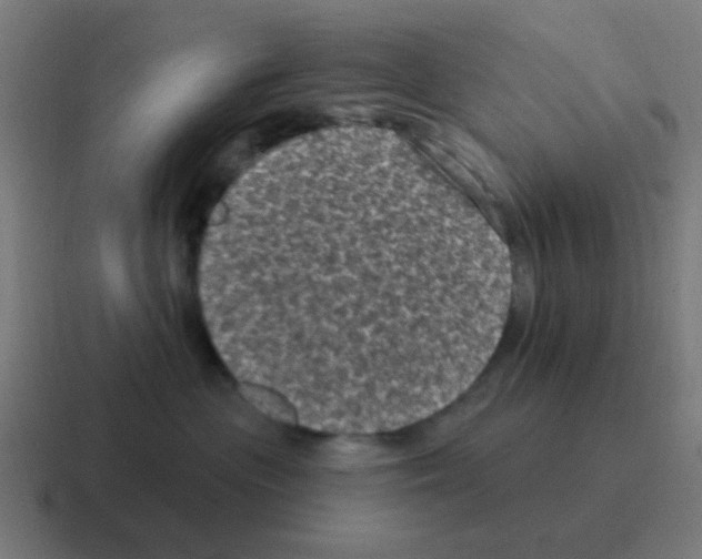 X0000116010477200912312137