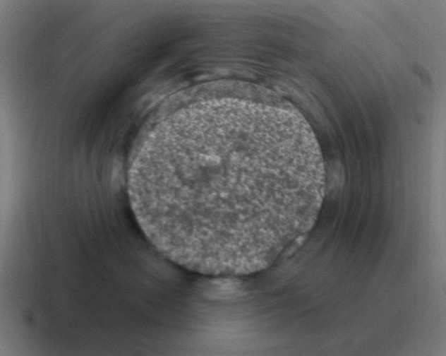 X0000116010478200912312137