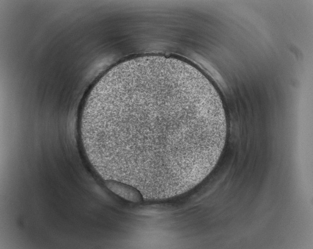 X0000116010485200912312136