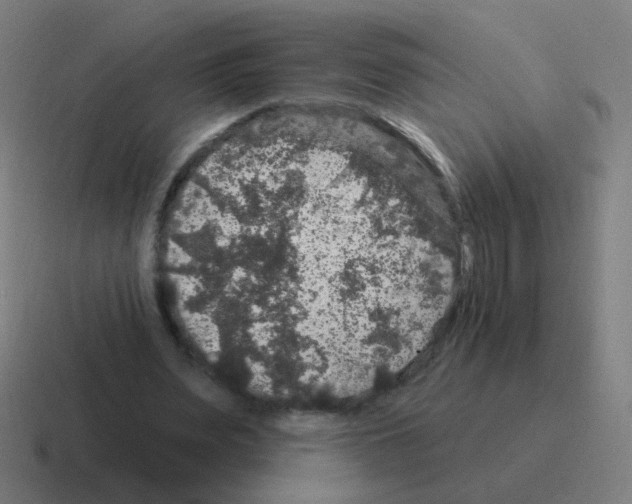 X0000116010487200912312136