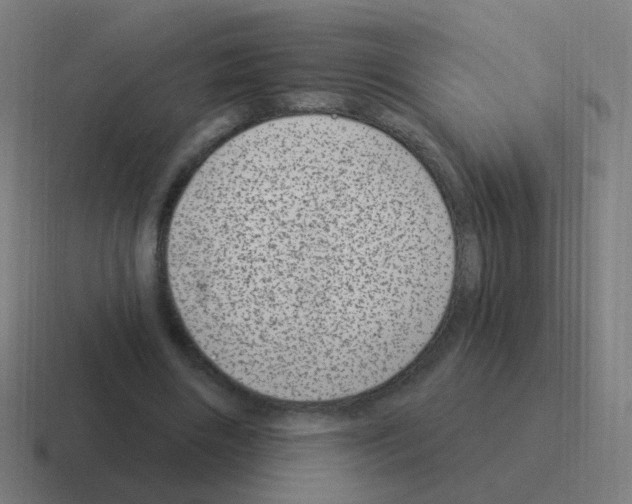 X0000116010490200912312136