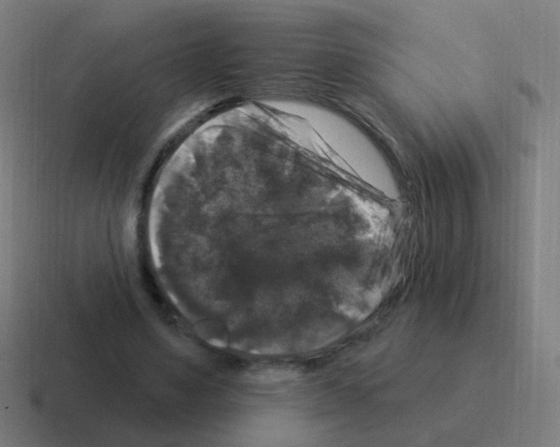 X0000116010491200912312136