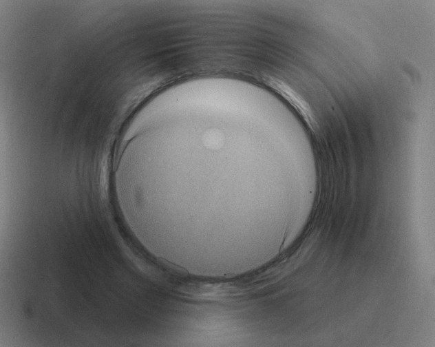 X0000116010493200912312136