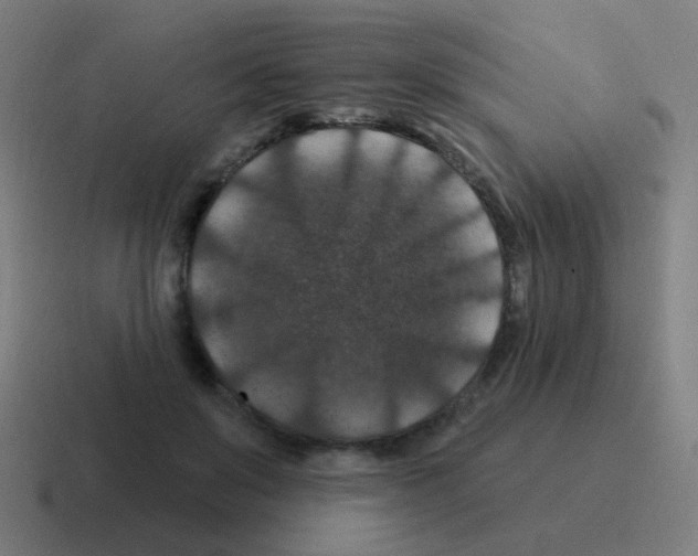 X0000116010503200912312136