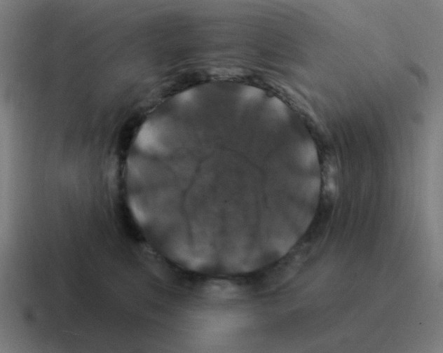 X0000116010519200912312136