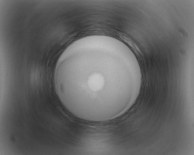X0000116010521200912312136