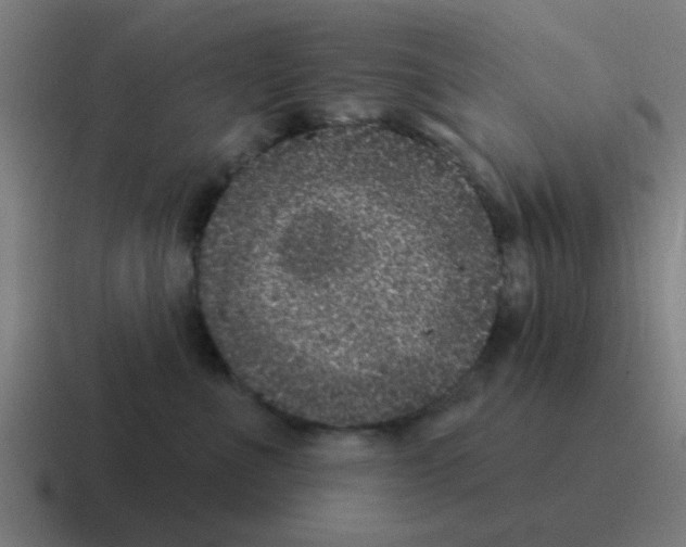 X0000116010523200912312136