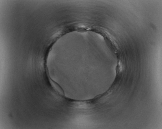 X0000116010524200912312136
