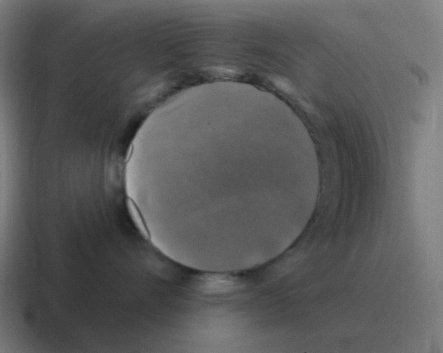 X0000116010528200912312136