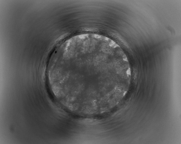 X0000116010542200912312135