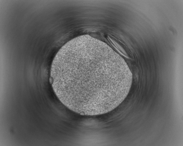 X0000116010551200912312135