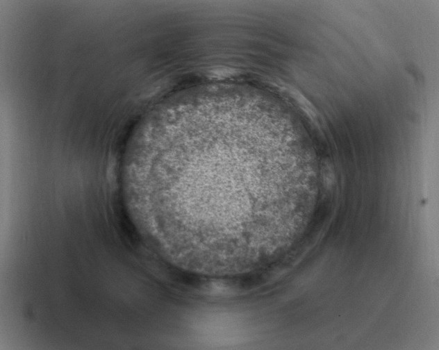 X0000116010565200912312136