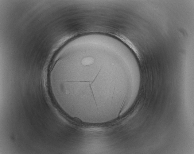 X0000116010581200912312135