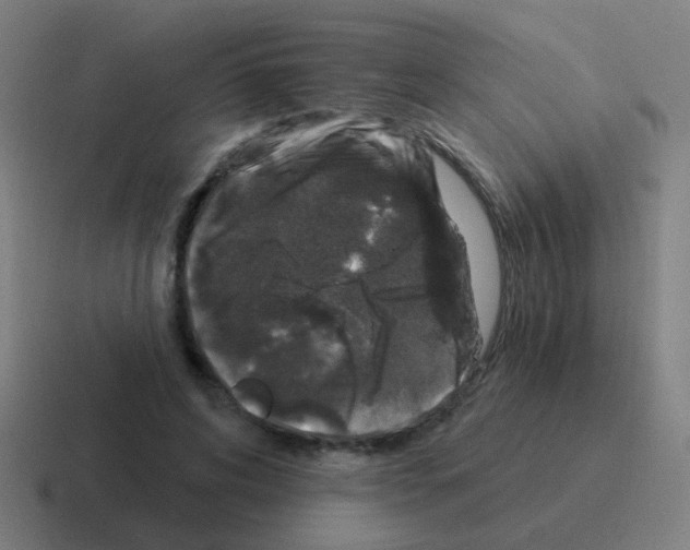 X0000116010592200912312135