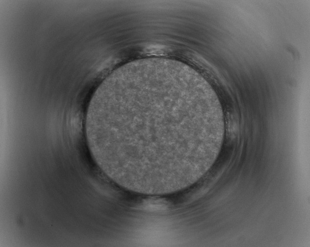 X0000116010603200912312135