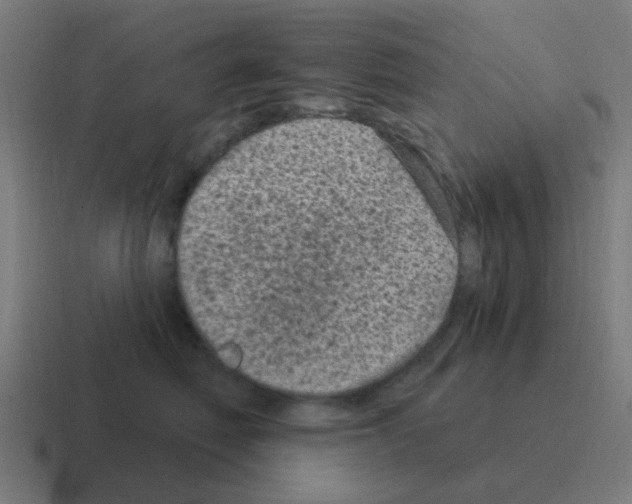 X0000116010614200912312135