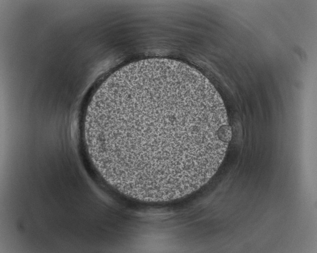 X0000116010638200912312134
