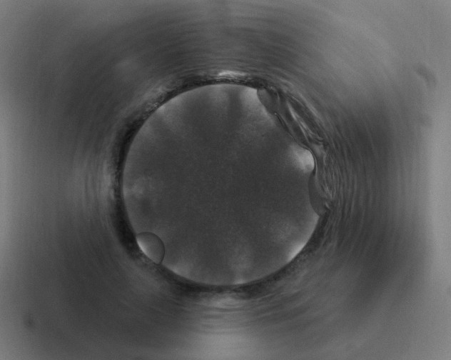 X0000116010643200912312134