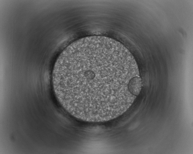X0000116010646200912312134