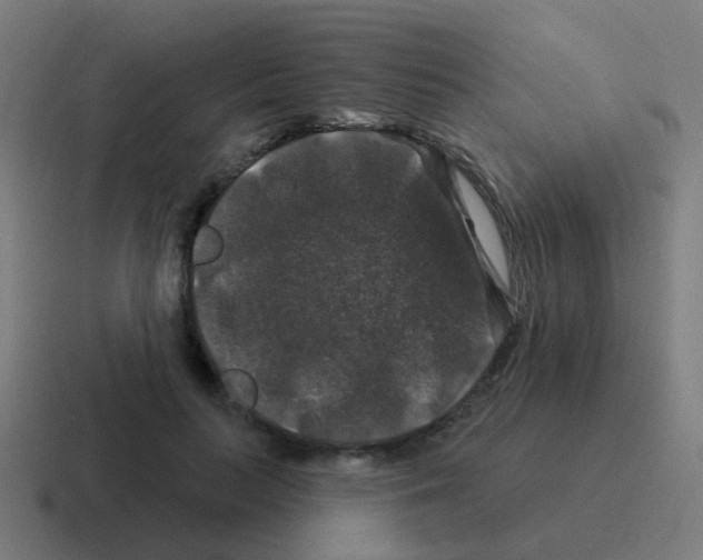 X0000116010647200912312134