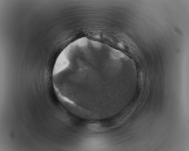 X0000116010653200912312134