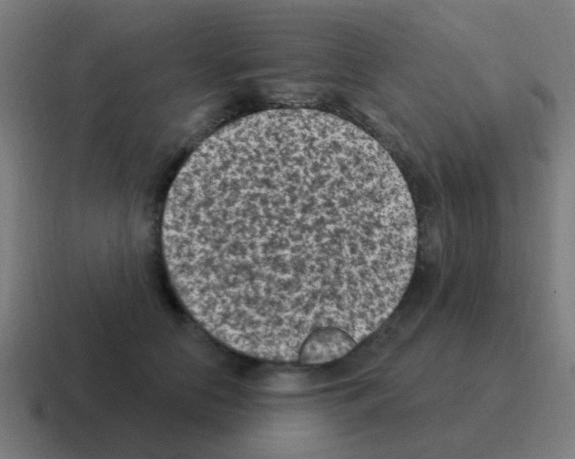 X0000116010658200912312134