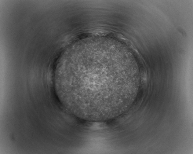 X0000116010663200912312134