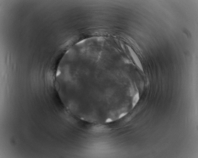 X0000116010669200912312134