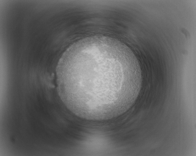 X0000116010672200912312135