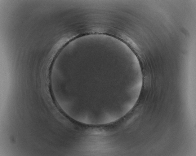 X0000116010673200912312134