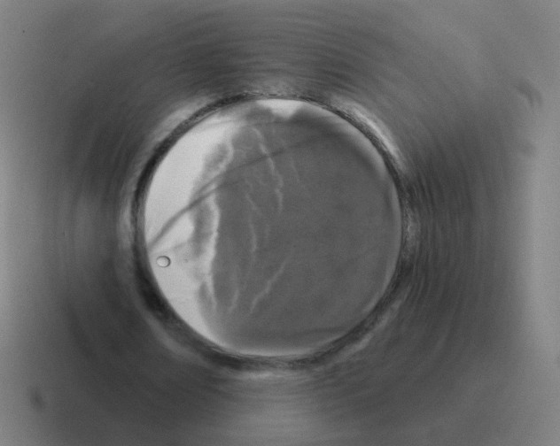 X0000116010674200912312134