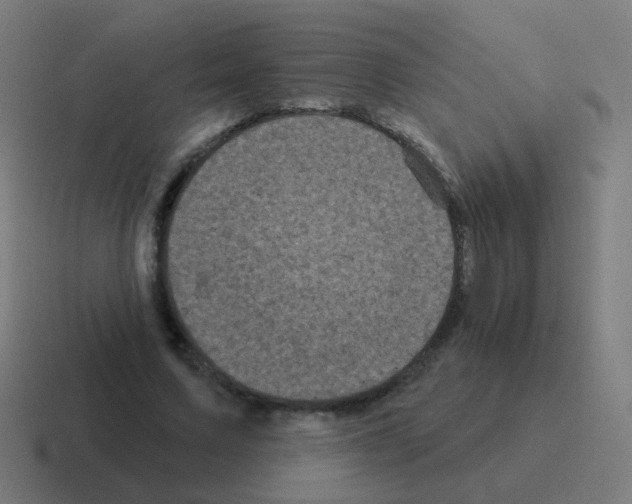 X0000116010683200912312134