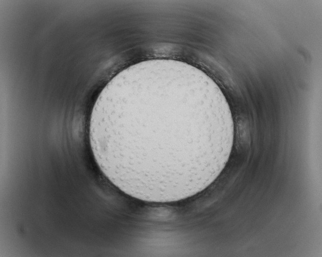 X0000116010698200912312134