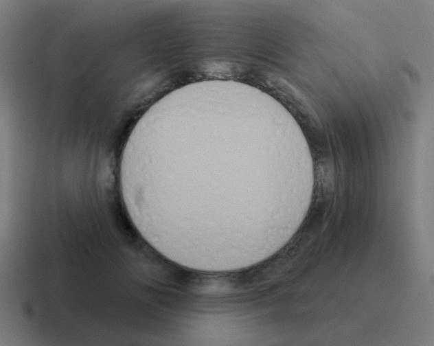 X0000116010702200912312134