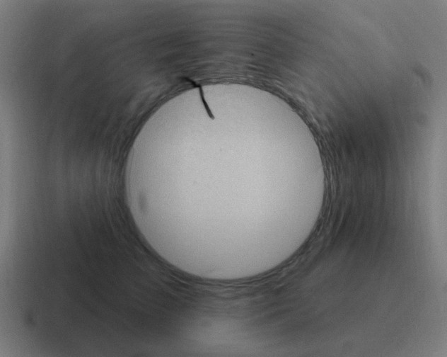 X0000116010709200912312133